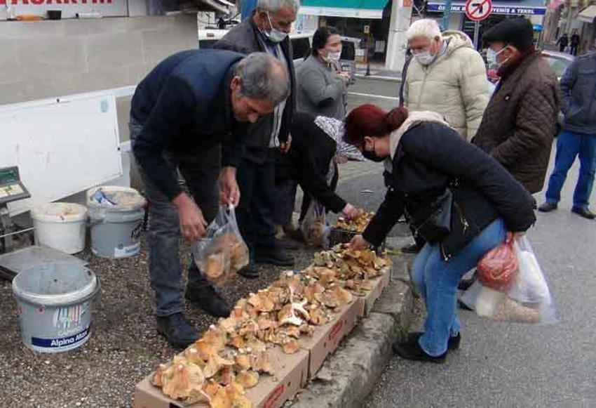 Fiyatını duyan ormana koştu! Halkın geçim kaynağı oldu, korkutan uyarı geldi