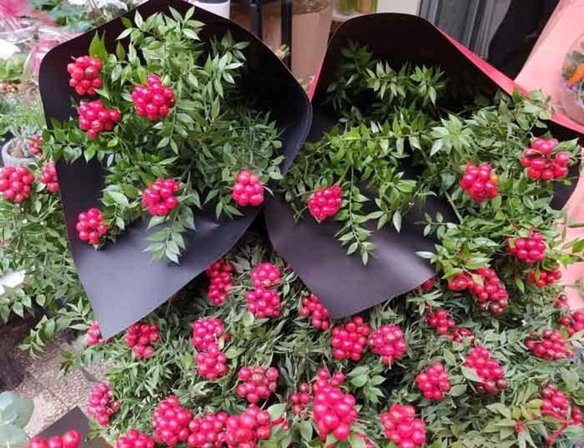 25 liradan satılıyor! Ev sahibi olmak için akın ediyorlar