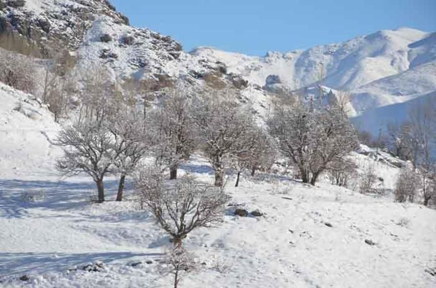 Her yer beyaza büründü! Eksi 21 derecede dereler dondu
