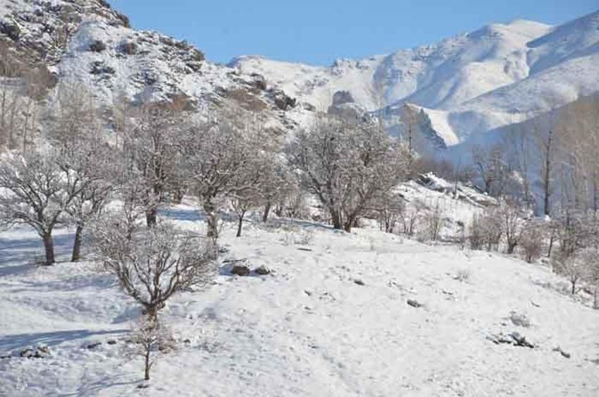 Her yer beyaza büründü! Eksi 21 derecede dereler dondu