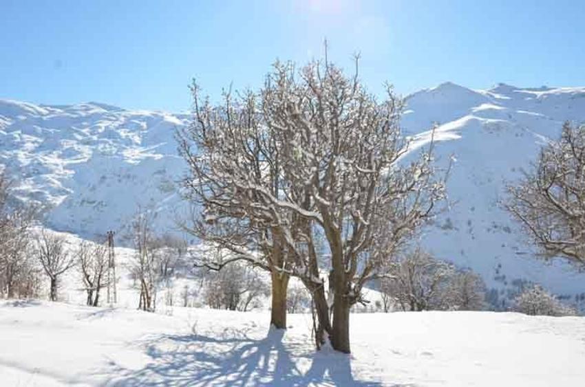 Her yer beyaza büründü! Eksi 21 derecede dereler dondu