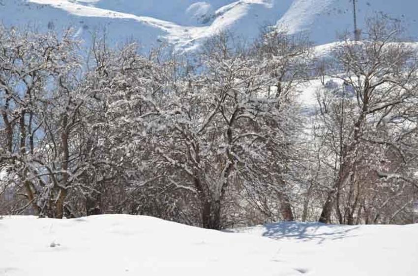 Her yer beyaza büründü! Eksi 21 derecede dereler dondu