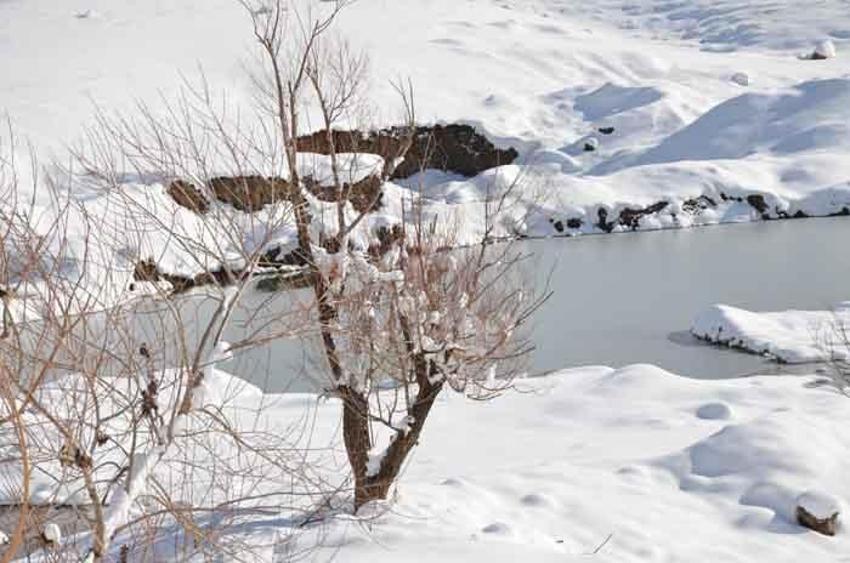 Her yer beyaza büründü! Eksi 21 derecede dereler dondu