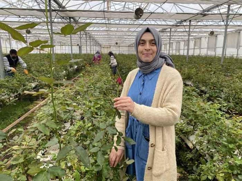 200 liraya satılıyor! Topraksız üretti, talebe yetişemiyor