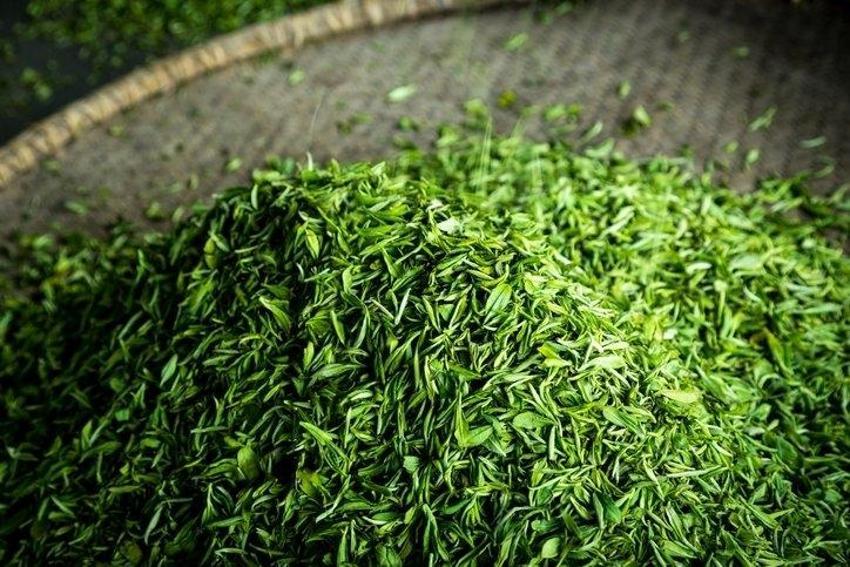Düzenli tüketildiğinde romatizmaya iyi geliyor! İşte şifa kaynağı o çay!