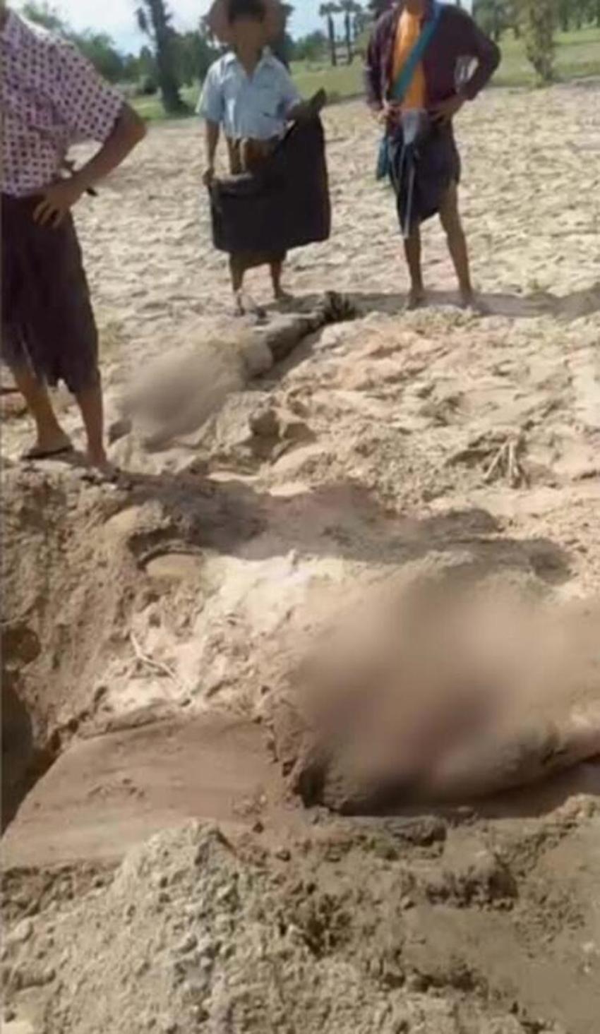 Toplu katliam dünyanın kanını dondurdu! Çukurdan cesetler çıktı...