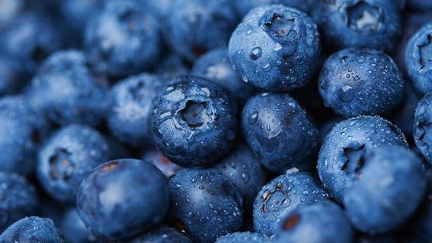 Kan ve kemik için şifa! İşte K vitamini açısından en zengin besinler