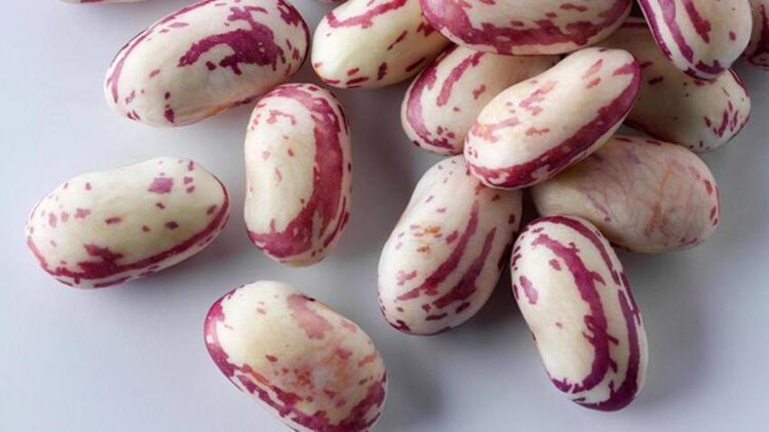 Kan ve kemik için şifa! İşte K vitamini açısından en zengin besinler