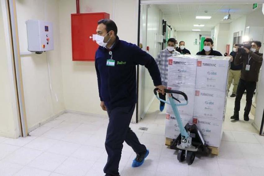 Yerli aşı Turkovac'ın ilk sevkiyatı Ankara'ya yapıldı