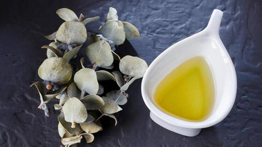 Akciğerleri tamamen temizliyor, astım için şifa! Balgam sökücü, C vitamini deposu...