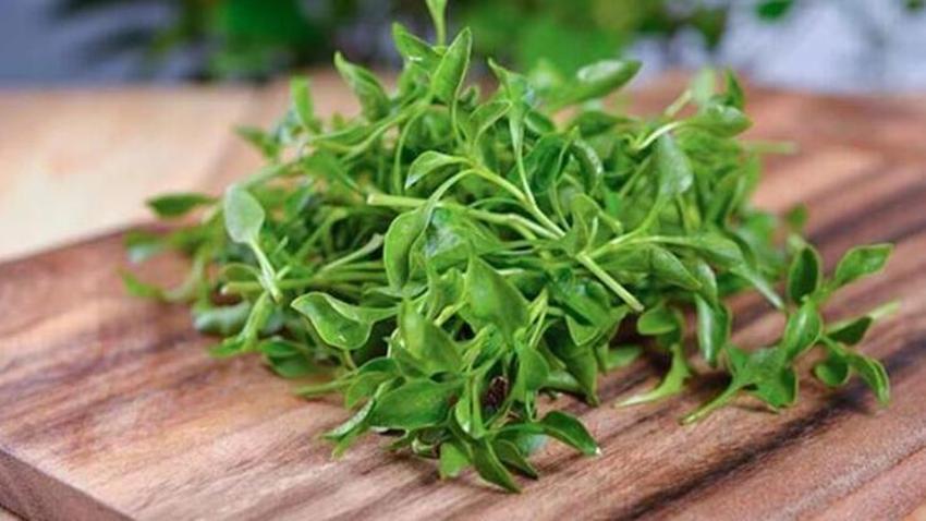 Akciğerleri tamamen temizliyor, astım için şifa! Balgam sökücü, C vitamini deposu...