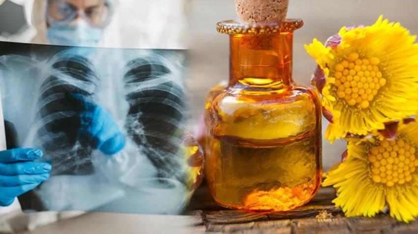 Akciğerleri tamamen temizliyor, astım için şifa! Balgam sökücü, C vitamini deposu...