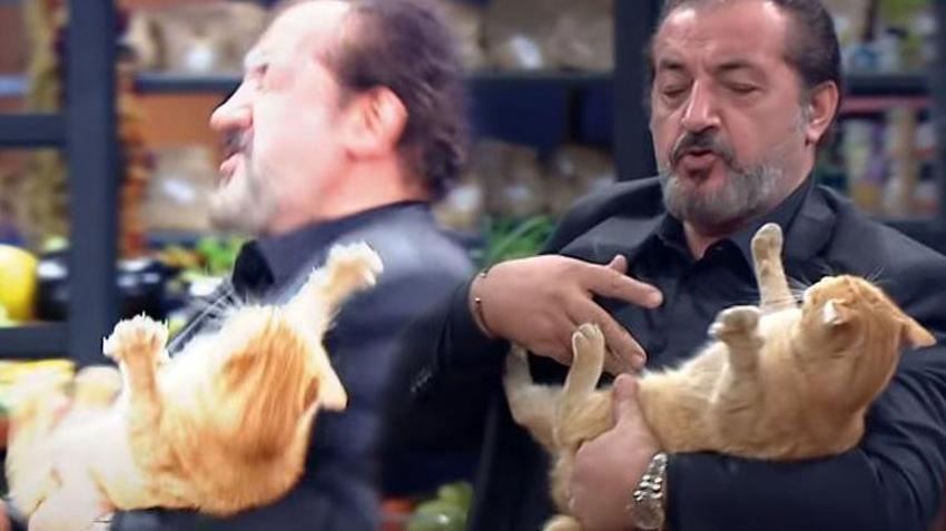 MasterChef'te Mehmet Yalçınkaya'nın kediyle imtihanı!