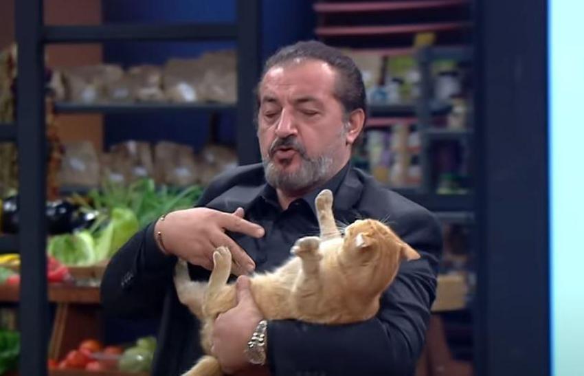 MasterChef'te Mehmet Yalçınkaya'nın kediyle imtihanı!