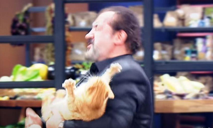MasterChef'te Mehmet Yalçınkaya'nın kediyle imtihanı!