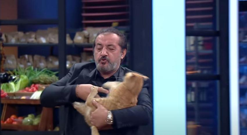 MasterChef'te Mehmet Yalçınkaya'nın kediyle imtihanı!
