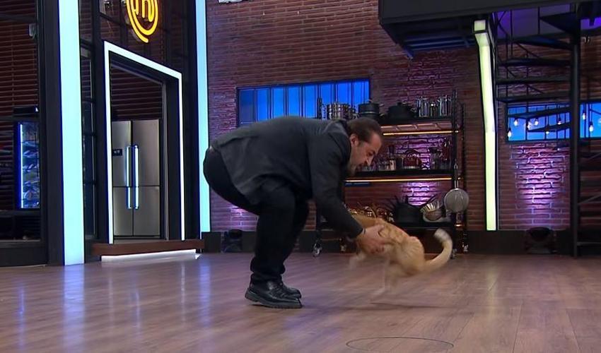 MasterChef'te Mehmet Yalçınkaya'nın kediyle imtihanı!