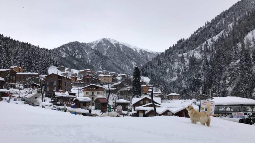 Kar yağışı başladı! Son dakika uyarıları sonrası dalga dalga yayılıyor, sıcaklıklar -20'yi gördü, kar kalınlığı 4 metreyi aştı, onlarca kentte alarm verildi, yılbaşına kadar...