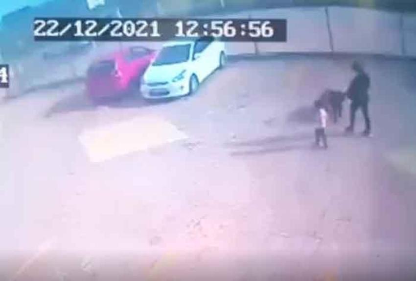 Pitbull dehşetinde yeni görüntüler ortaya çıktı! Asiye Ateş hakkında flaş gelişme... 