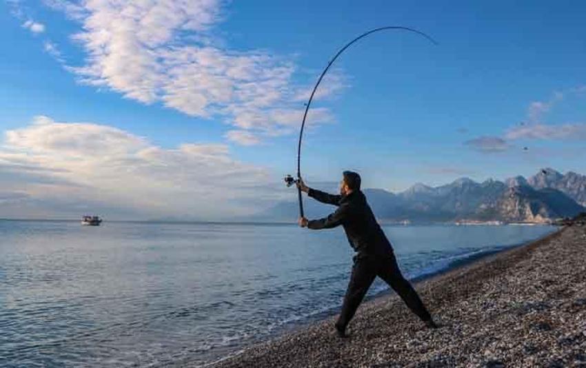 Balıkçılar, istilacı tür balon balığını yakalamak için yarıştı