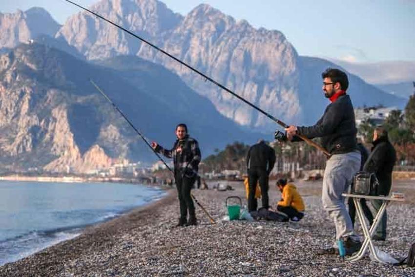 Balıkçılar, istilacı tür balon balığını yakalamak için yarıştı