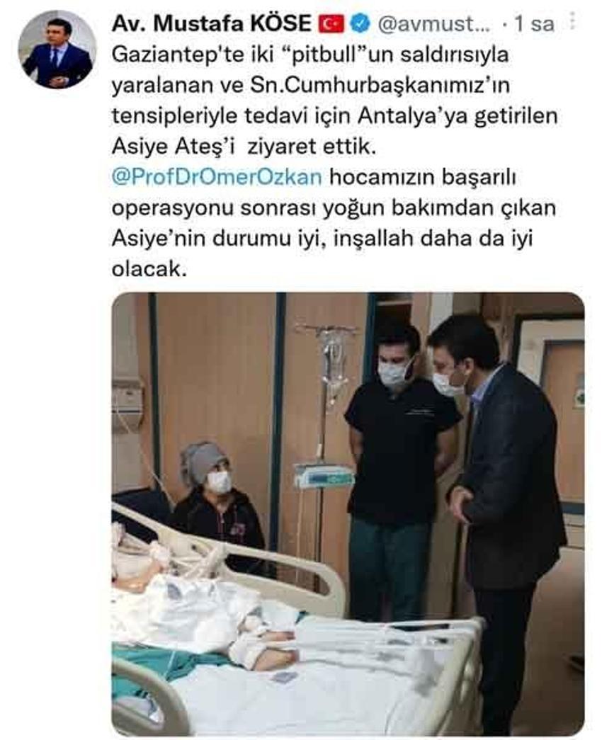 Pitbull saldırısına uğrayan Asiye Ateş’in sağlık durumunda yeni gelişme