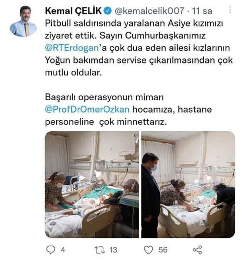 Pitbull saldırısına uğrayan Asiye Ateş’in sağlık durumunda yeni gelişme