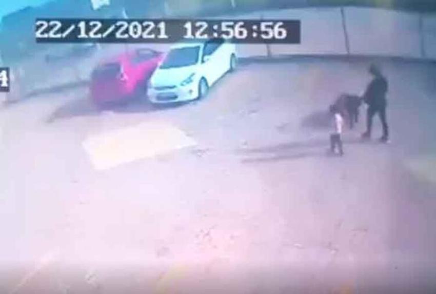 Pitbull saldırısına uğrayan Asiye Ateş’in sağlık durumunda yeni gelişme