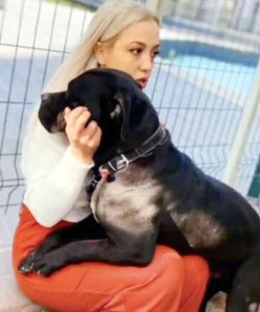 Asiye Ateş olayı ile ilgili skandal iddia! Pitbull saldırısı sonrası...