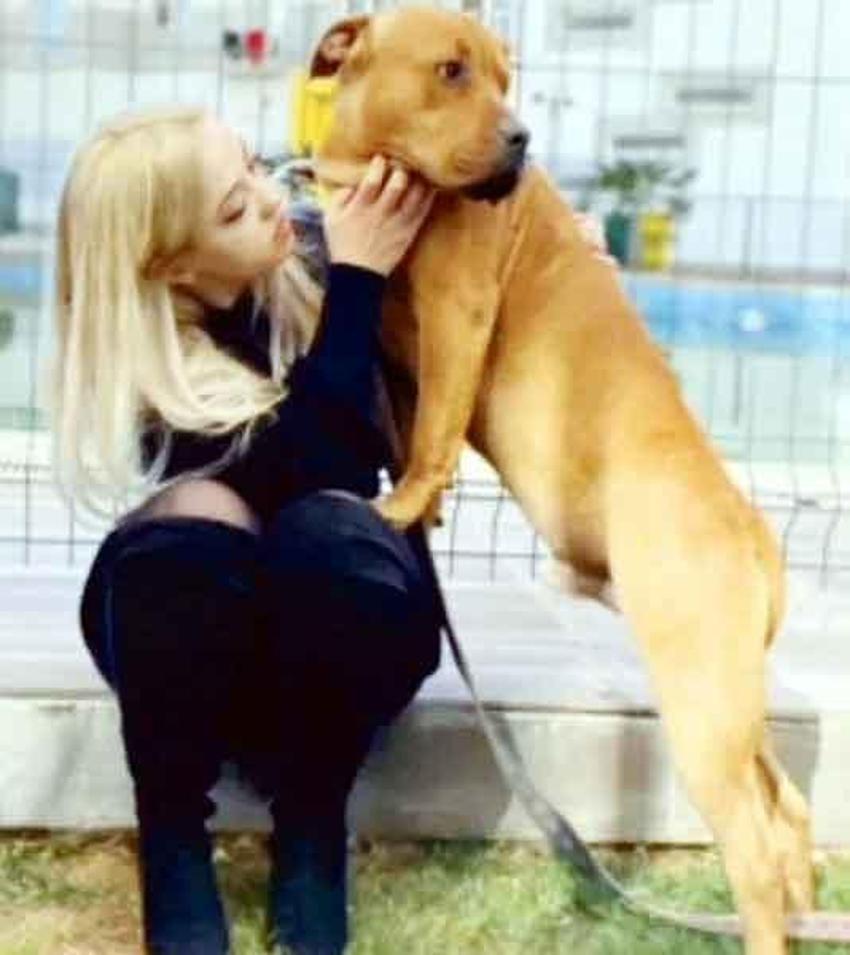 Asiye Ateş olayı ile ilgili skandal iddia! Pitbull saldırısı sonrası...