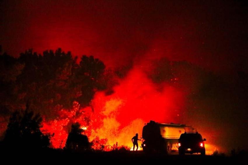 2021 yılı Türkiye'de acısıyla tatlısıyla böyle geçti! Koronavirüs vakaları, orman yangınları, Haluk Levent, Mete Gazoz ve Tosuncuk damga vurdu...