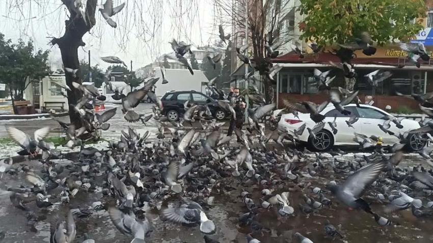 İllere göre vaka haritası açıklandı! Zirvedeki şehir değişti...