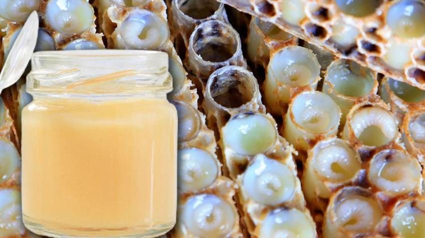 Kanserle savaşıyor, tam bir doğal antibiyotik! Bir damlası bile çok etkili...