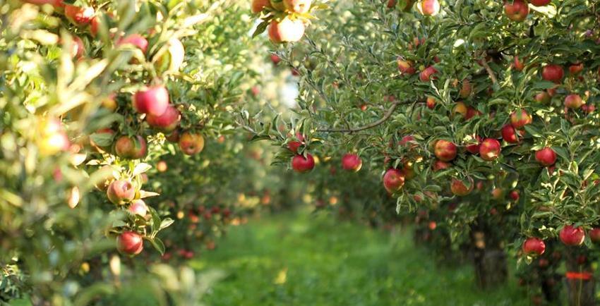 2022 kehanetleri tüyler ürpertti! Kıtlık, savaş, felaket, toplu ölüm, salgın...  
