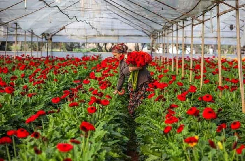 Türkiye’de üretiliyor, tam 83 ülkeye ihraç ediliyor! Hedef 500 milyon dolar...