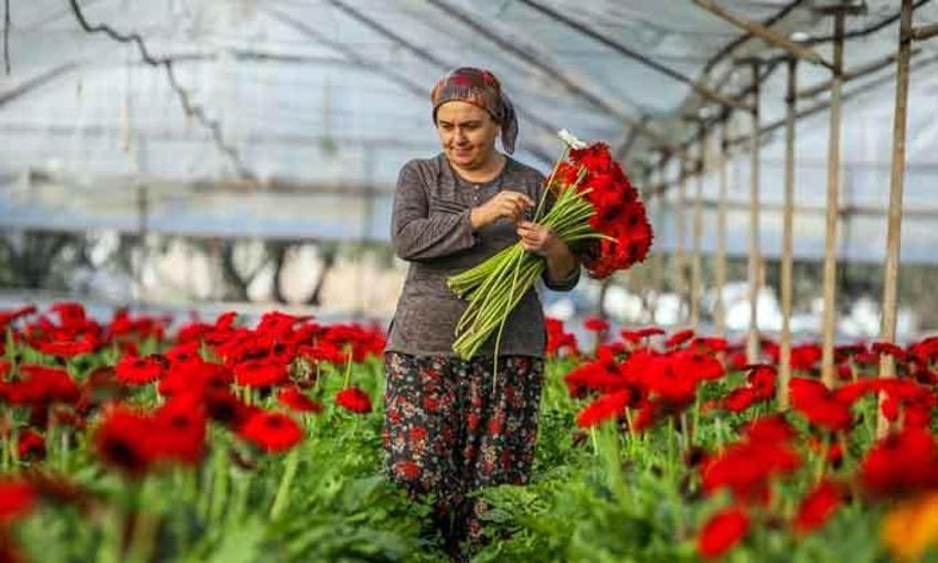 Türkiye’de üretiliyor, tam 83 ülkeye ihraç ediliyor! Hedef 500 milyon dolar...