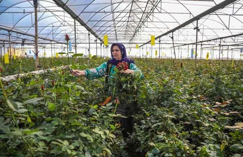 Türkiye’de üretiliyor, tam 83 ülkeye ihraç ediliyor! Hedef 500 milyon dolar...