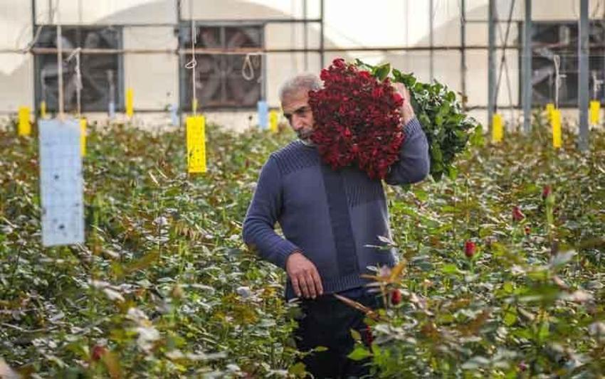 Türkiye’de üretiliyor, tam 83 ülkeye ihraç ediliyor! Hedef 500 milyon dolar...