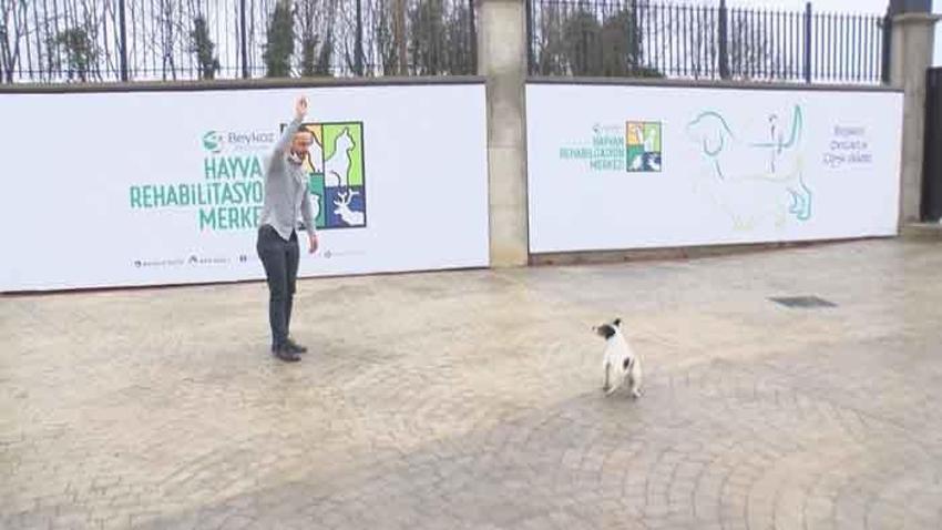 Erdoğan'ın barınakta ilgilendiği Maylo'nun hikayesi