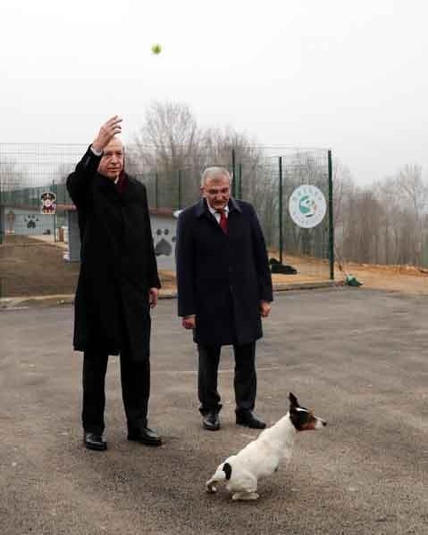 Erdoğan'ın barınakta ilgilendiği Maylo'nun hikayesi