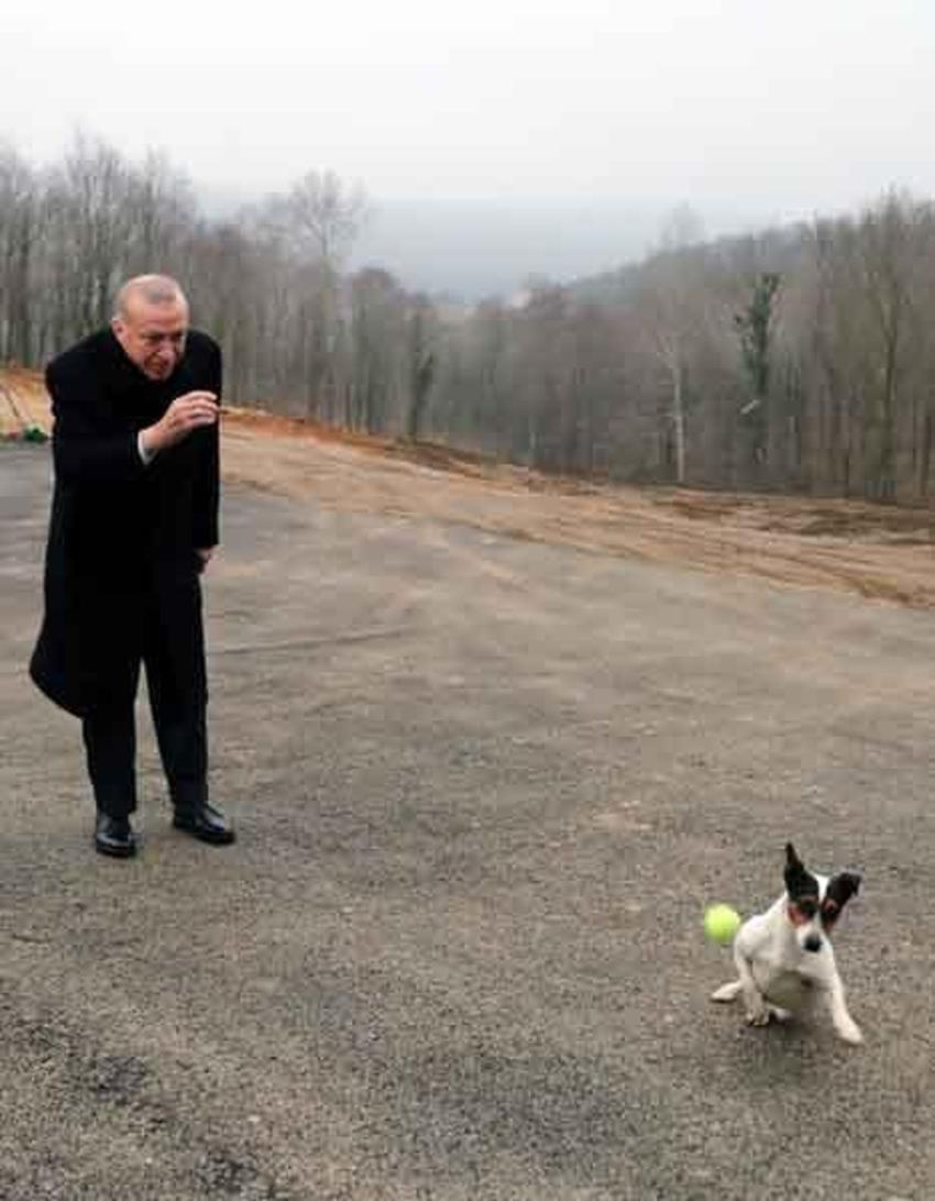 Erdoğan'ın barınakta ilgilendiği Maylo'nun hikayesi