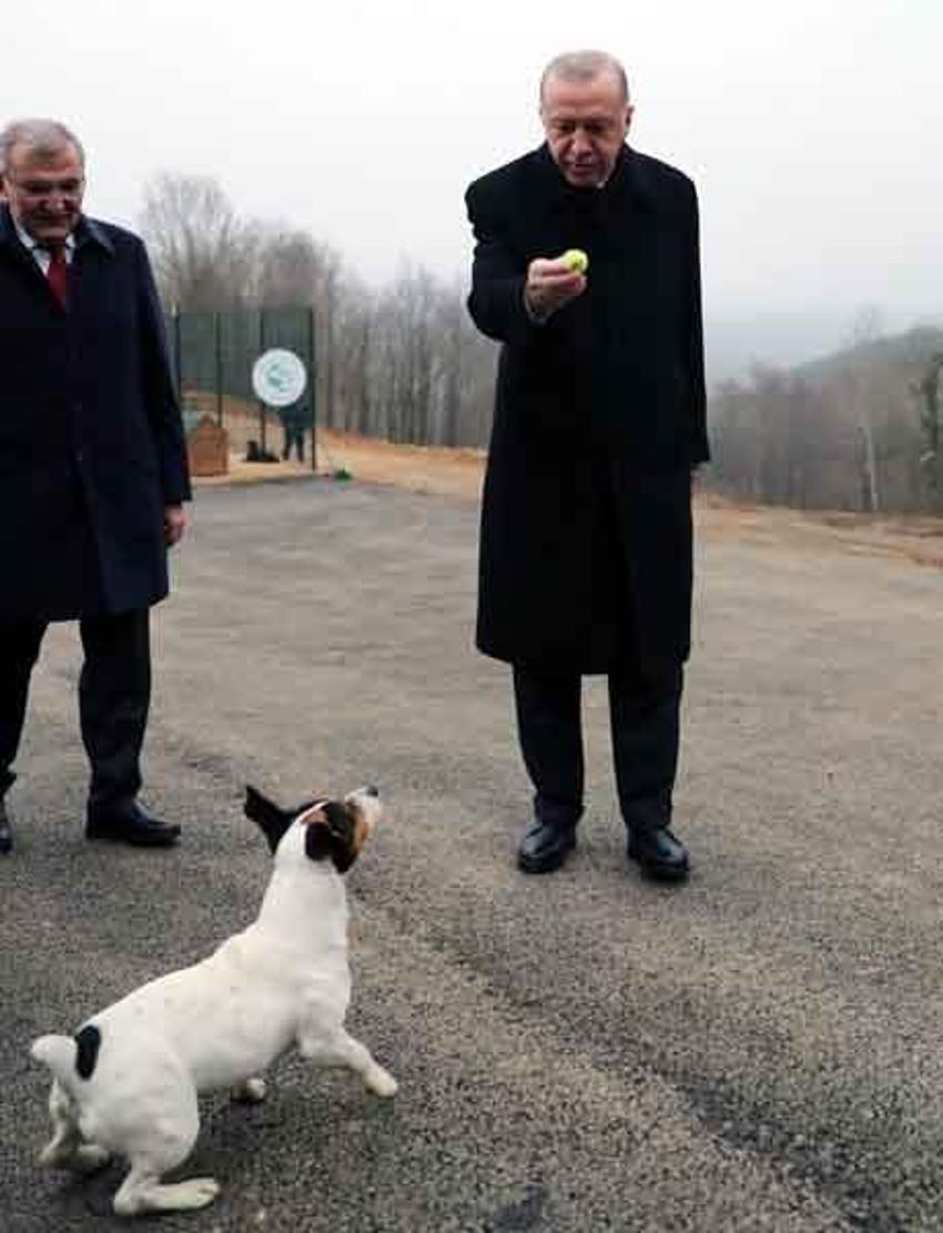 Erdoğan'ın barınakta ilgilendiği Maylo'nun hikayesi