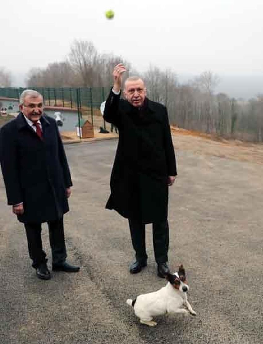 Erdoğan'ın barınakta ilgilendiği Maylo'nun hikayesi
