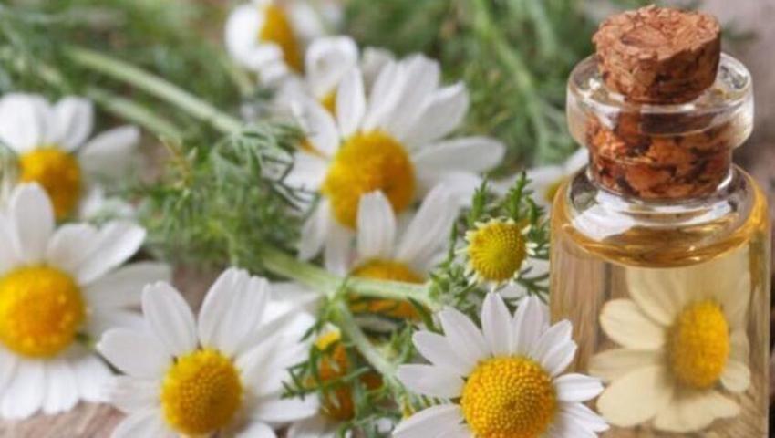 Depresyona iyi geliyor, sinir sistemini tedavi ediyor! Tam bir kas gevşetici, adet sancılarını hafifletiyor...