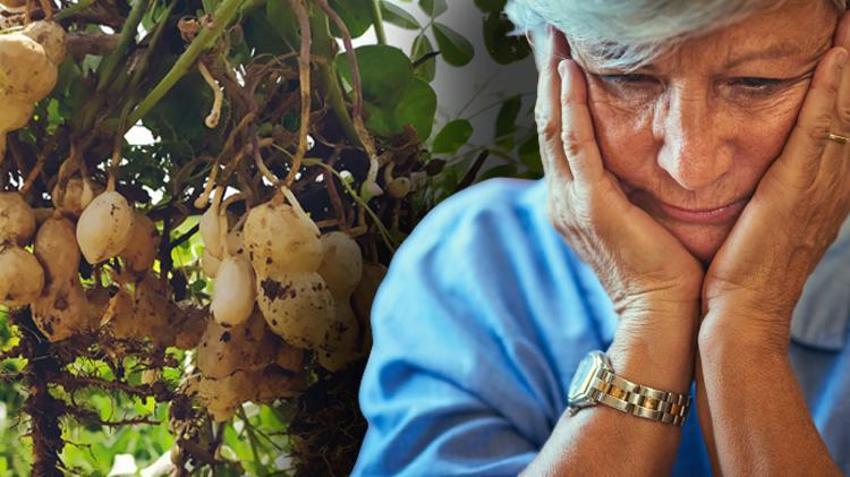  Alzheimer hastalığının doğal ilacı! Hafızayı yeniliyor! İşte unutkanlığı önleyen süper besinler...