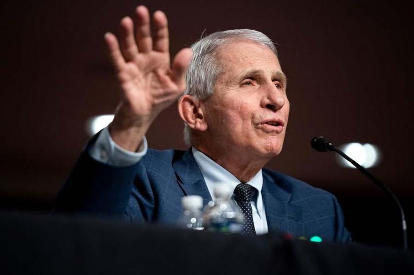 Doktor Anthony Fauci'den skandal sözler! Mikrofonu açık unutunca...