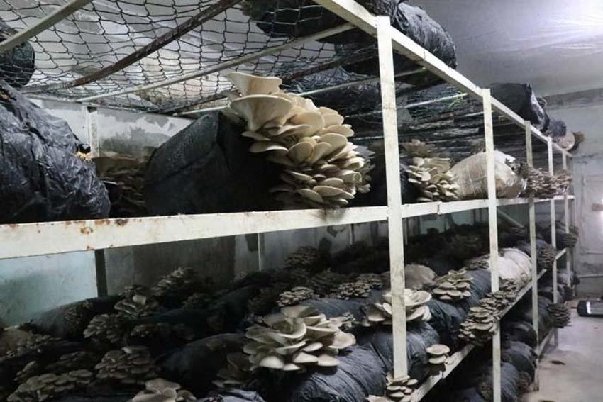 Düşük sermaye yetiyor! Üretimden sonra hemen tükeniyor! Talep patladı, yoğun ilgi var...