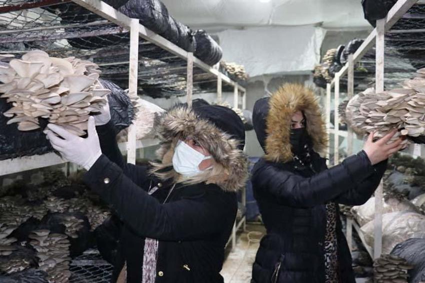 Düşük sermaye yetiyor! Üretimden sonra hemen tükeniyor! Talep patladı, yoğun ilgi var...
