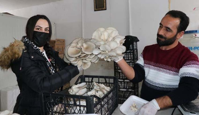 Düşük sermaye yetiyor! Üretimden sonra hemen tükeniyor! Talep patladı, yoğun ilgi var...