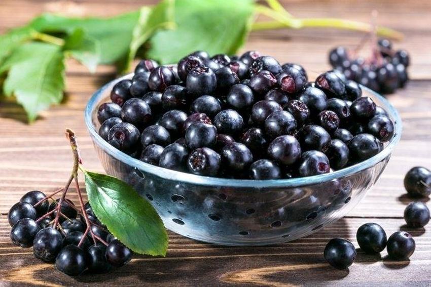 Kanserin düşmanı! İşte dünyanın konuştuğu mucize meyve...
